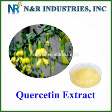 High Quality 98%powder Quercetin